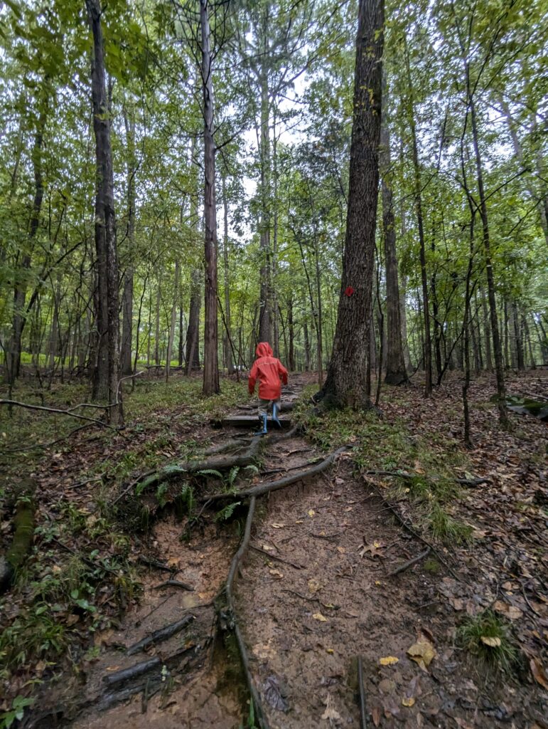 Child hiking in the woods